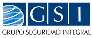 GSI logo-1